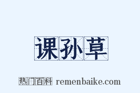 课孙草是什么意思的图片